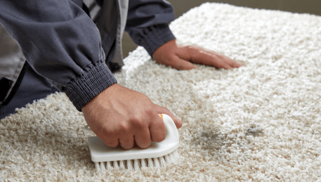 Professional Rug Cleaning Kealba